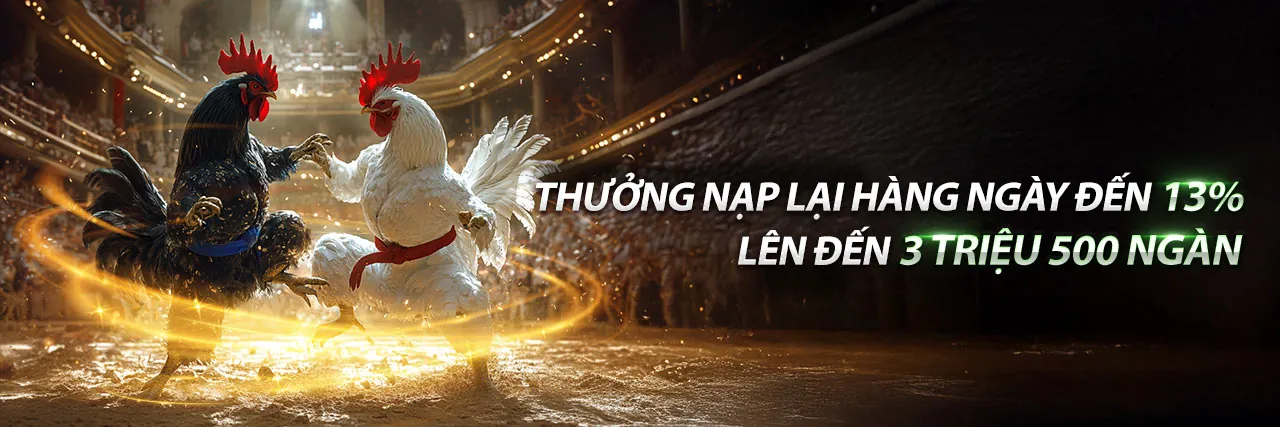 Hoàn trả hàng tuần cho đá gà